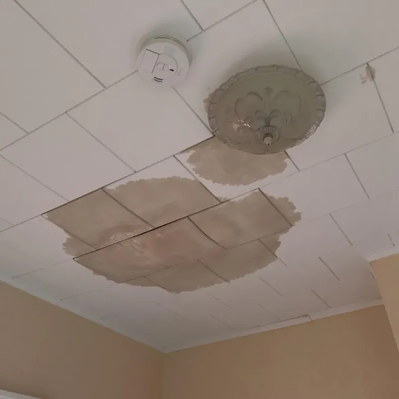 Ceiling Water Damage Repair in Buffalo, WV