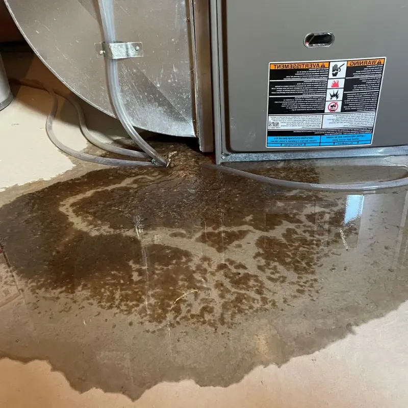 Pipe Burst and Leak Restoration in Buffalo, WV