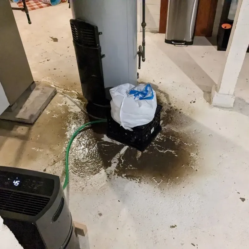 Sewage Backup Cleanup Service in Buffalo, WV
